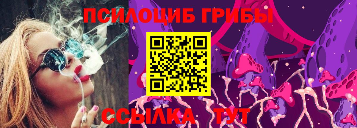 Артёмовский  Галлюциногенные грибы Psilocybe  Вход с VPN  Галлюциногенные грибы Cubensis 