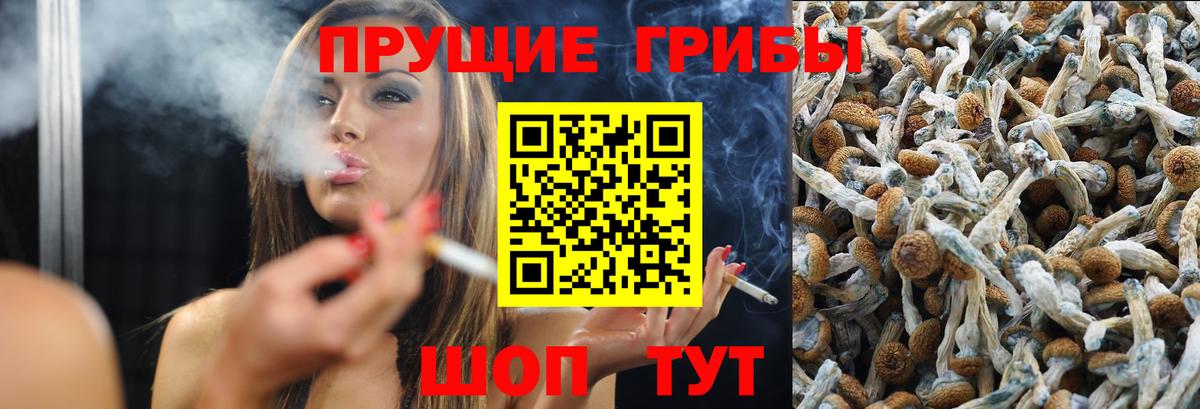 Псилоцибиновые грибы GOLDEN TEACHER Артёмовский
